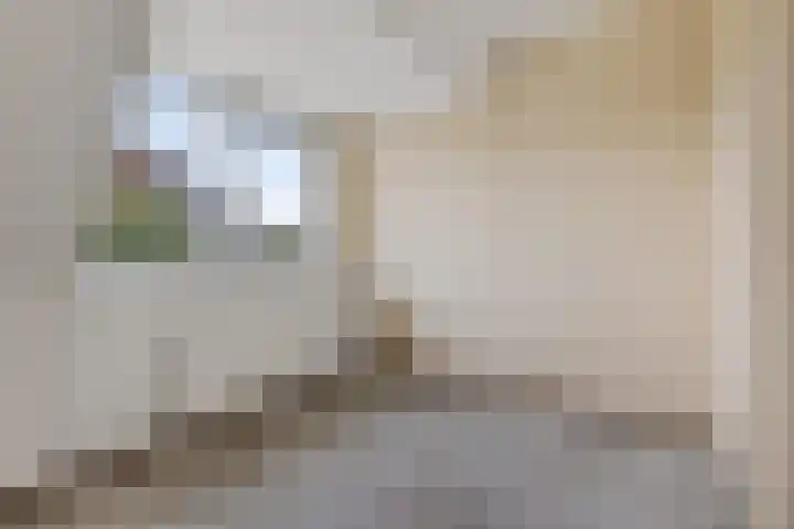 Jaspisdreef 2 Emmen thumbnail 11