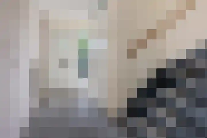 Jaspisdreef 2 Emmen thumbnail 9
