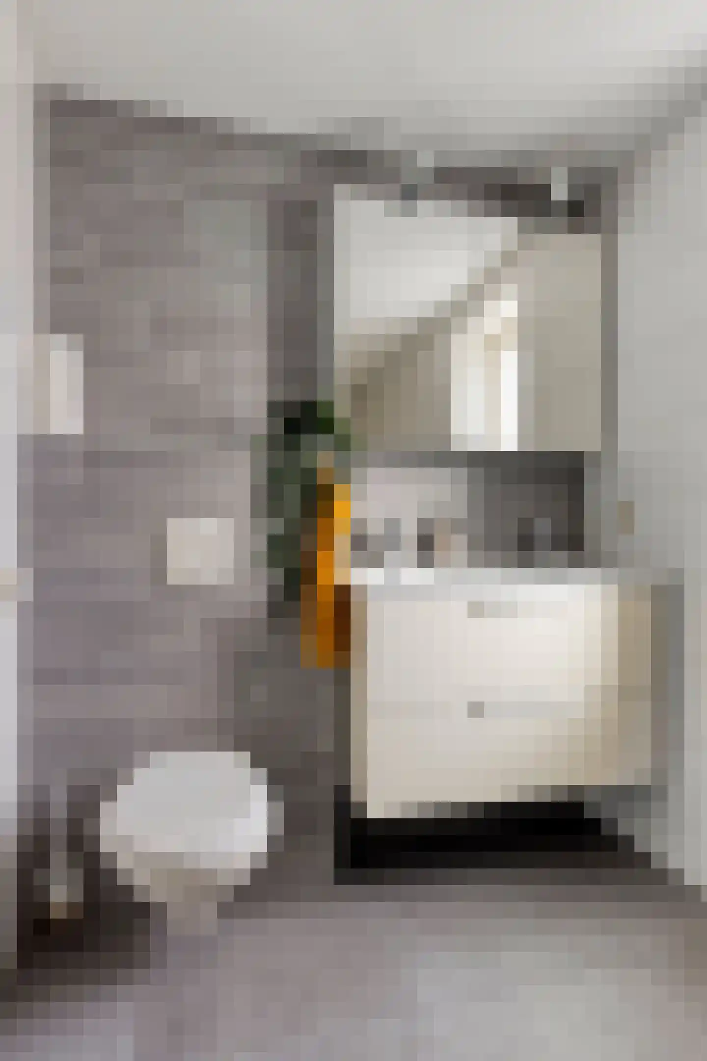 Jaspisstraat 23 Groningen thumbnail 33