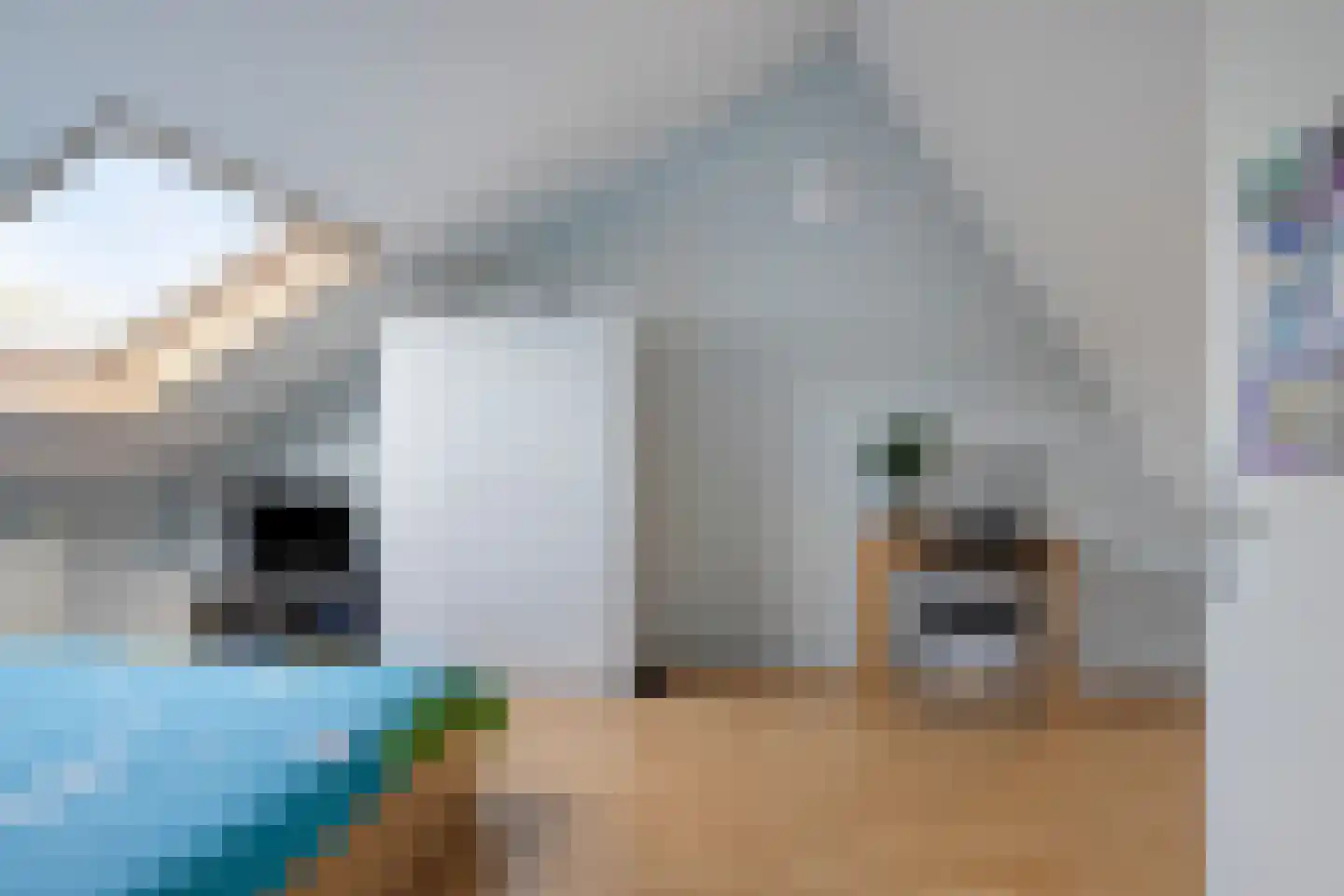 Jaspisstraat 23 Groningen thumbnail 37