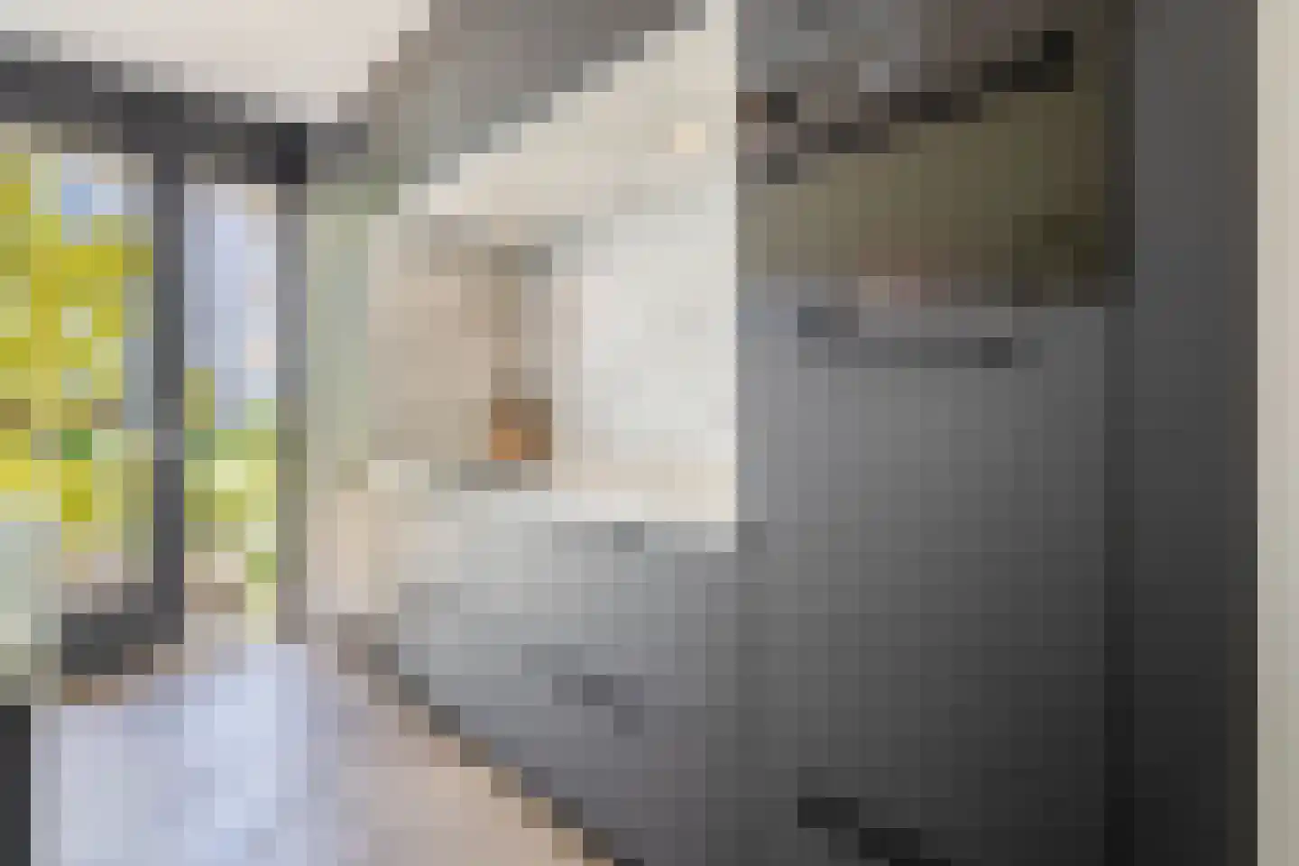 Jaspisstraat 33 Groningen thumbnail 16