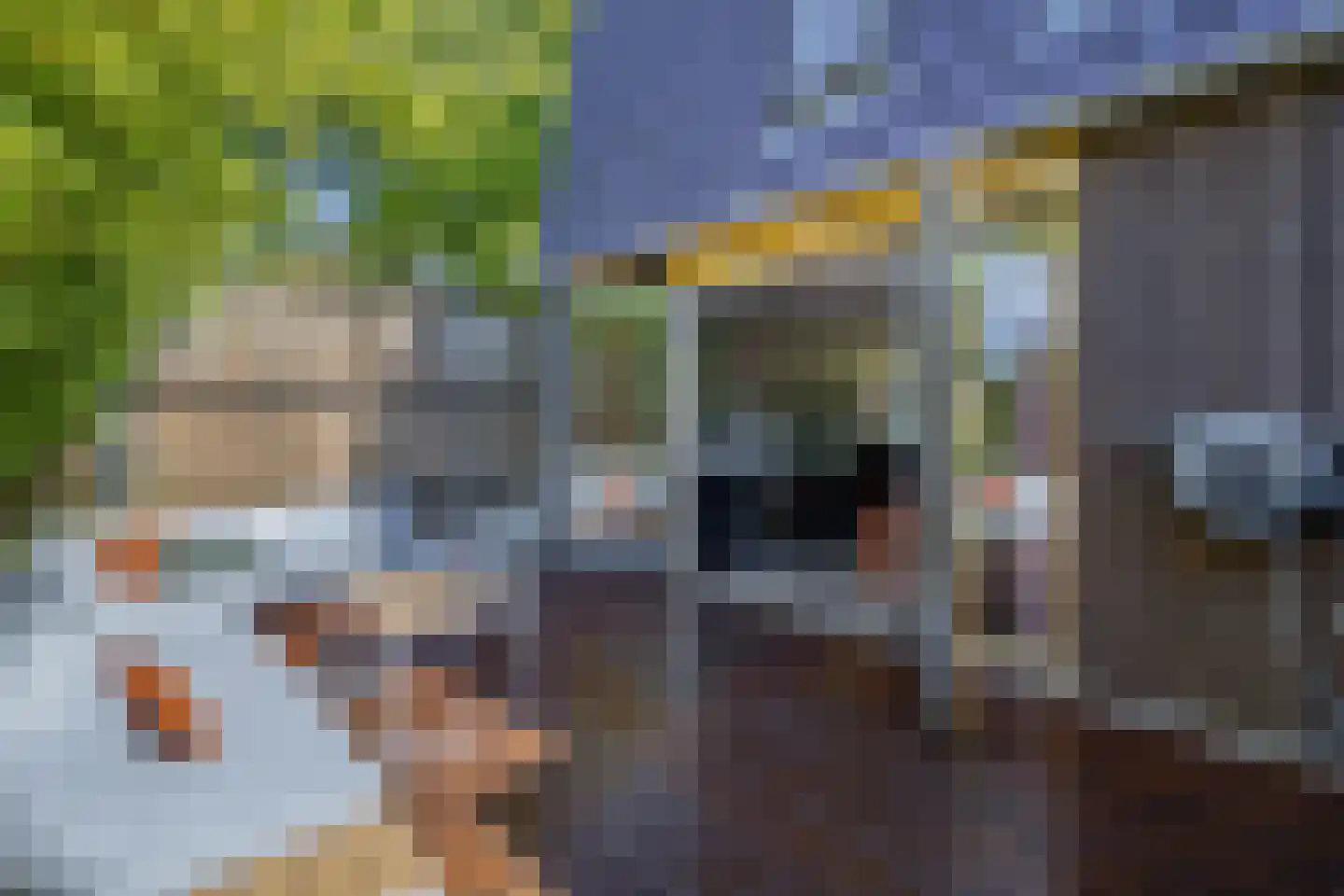 Jaspisstraat 33 Groningen thumbnail 21