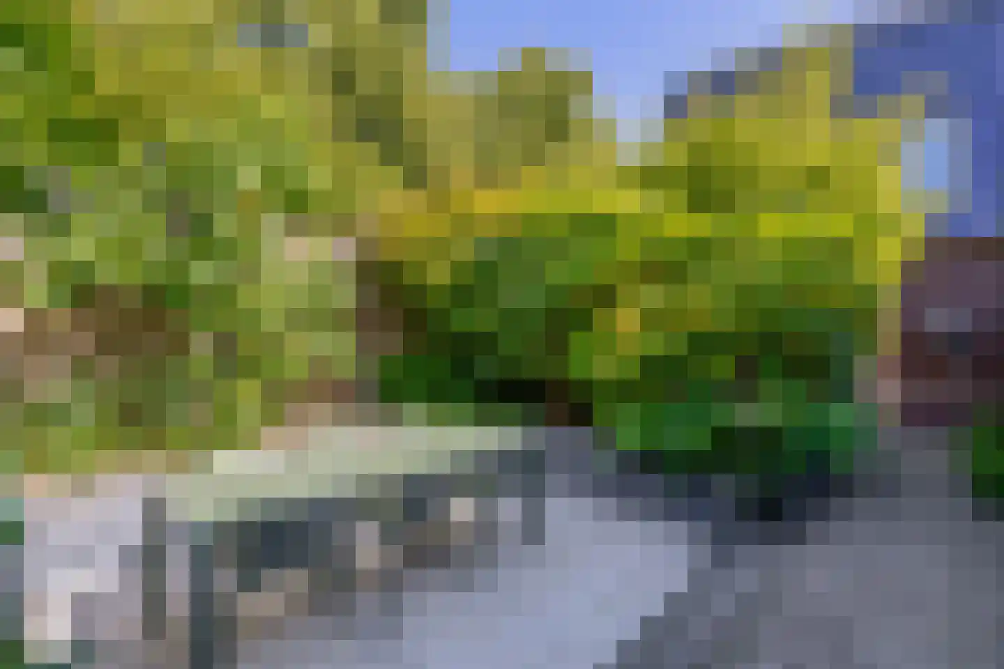 Jaspisstraat 33 Groningen thumbnail 24