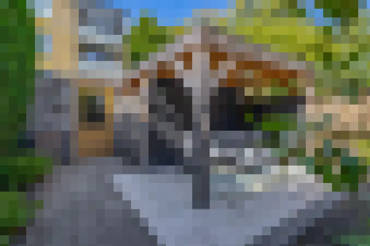 Jaspisstraat 33 Groningen thumbnail 25