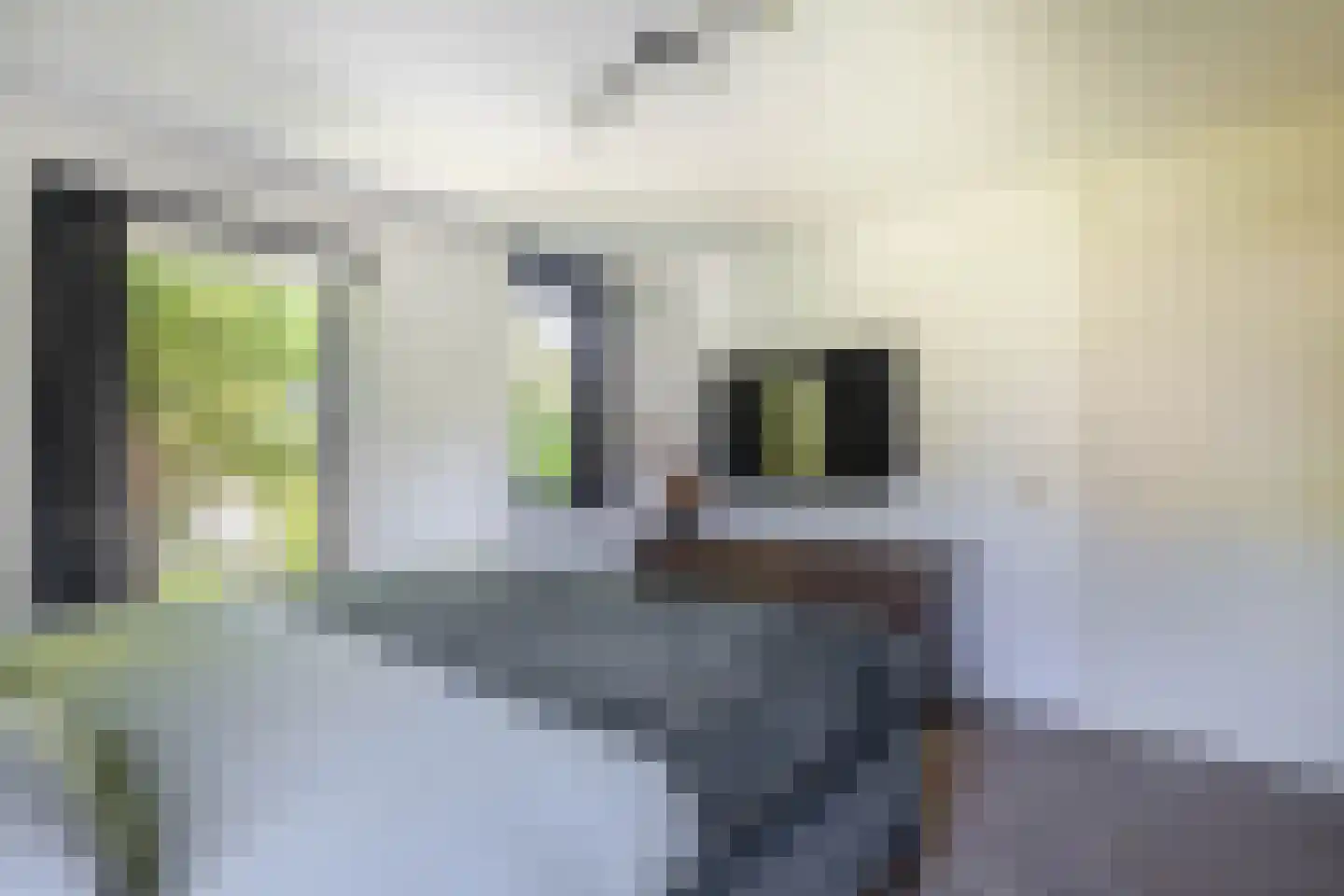 Jaspisstraat 33 Groningen thumbnail 31