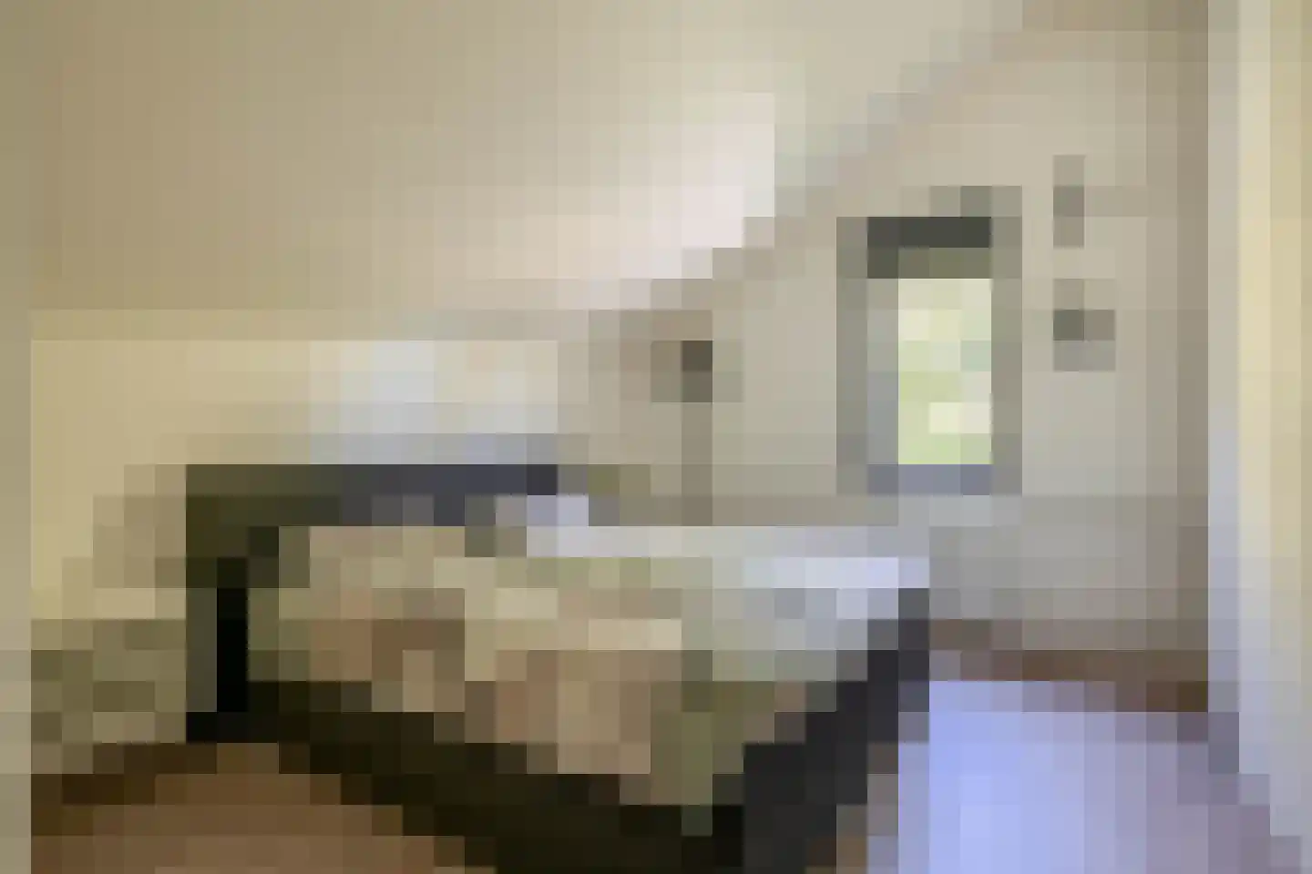 Jaspisstraat 33 Groningen thumbnail 41