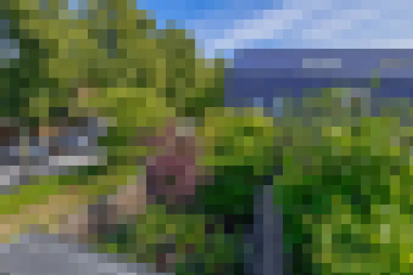 Jaspisstraat 33 Groningen thumbnail 47
