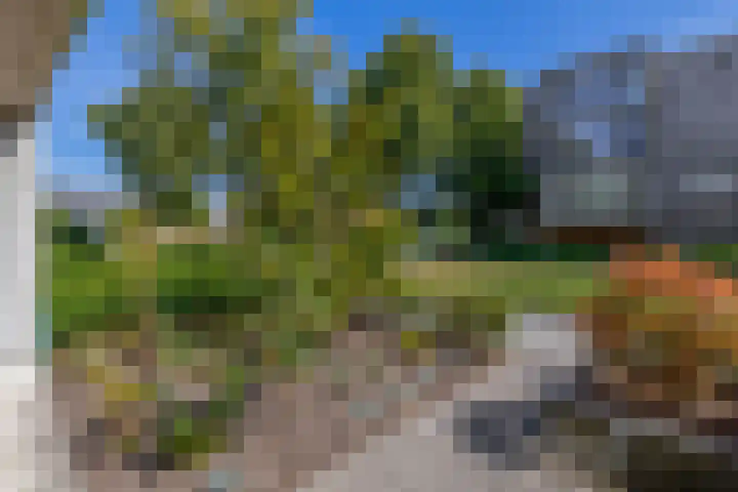 Jaspisstraat 33 Groningen thumbnail 51