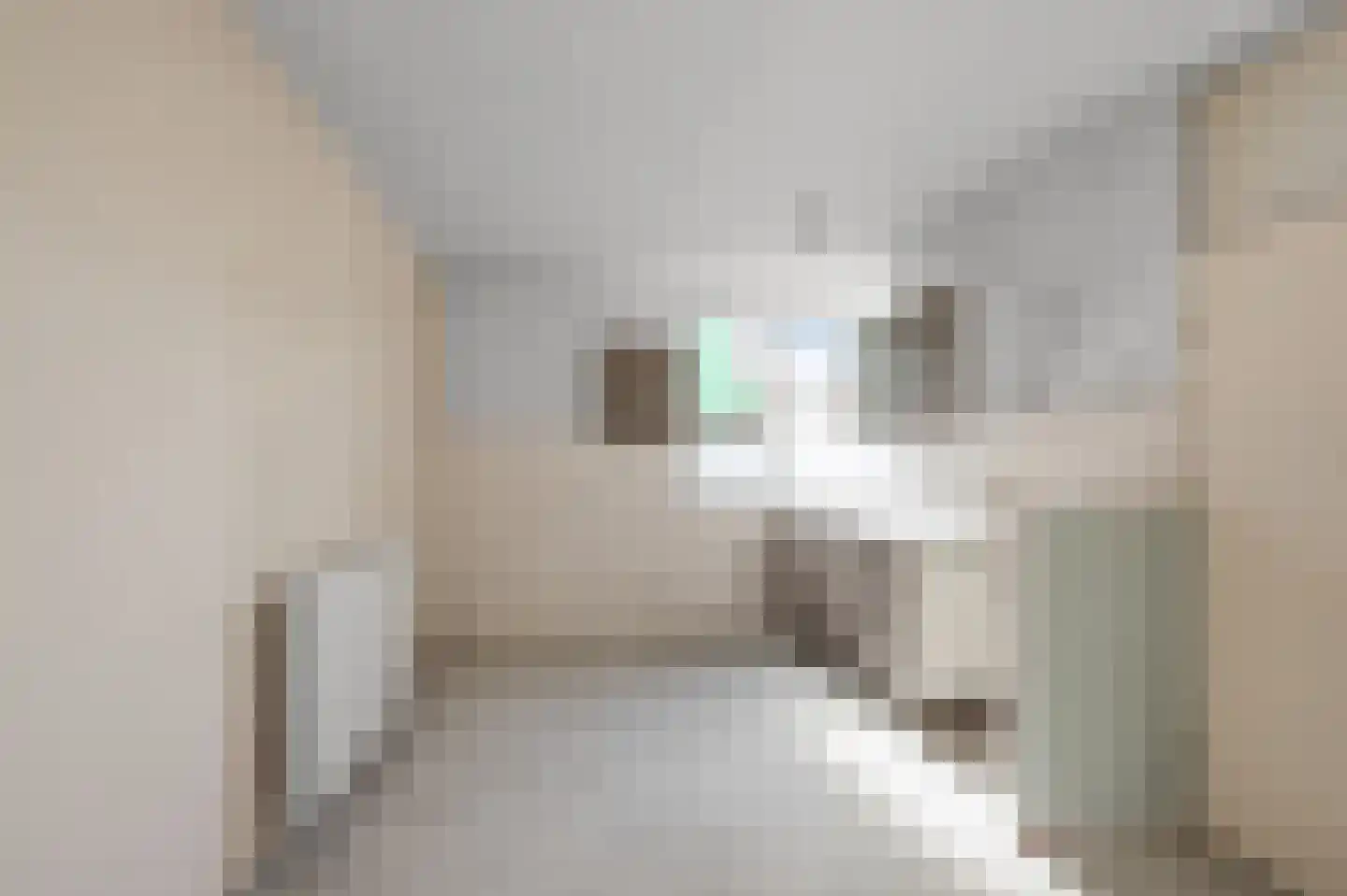 Jasykoffstraat 33 Zaandam thumbnail 10