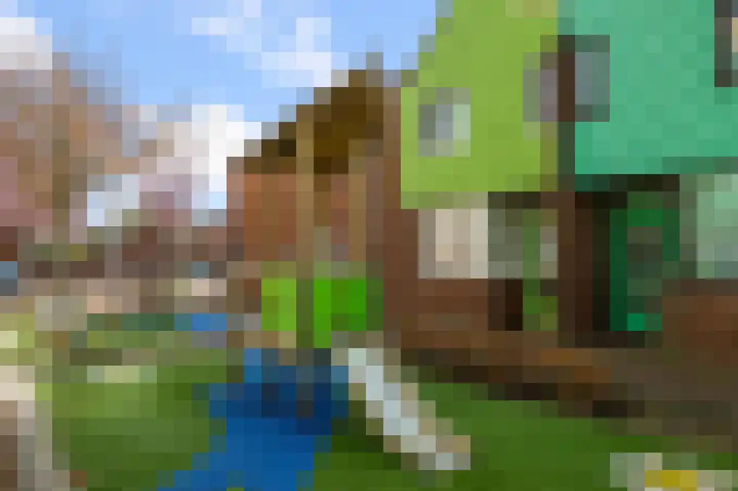 Jasykoffstraat 33 Zaandam thumbnail 34