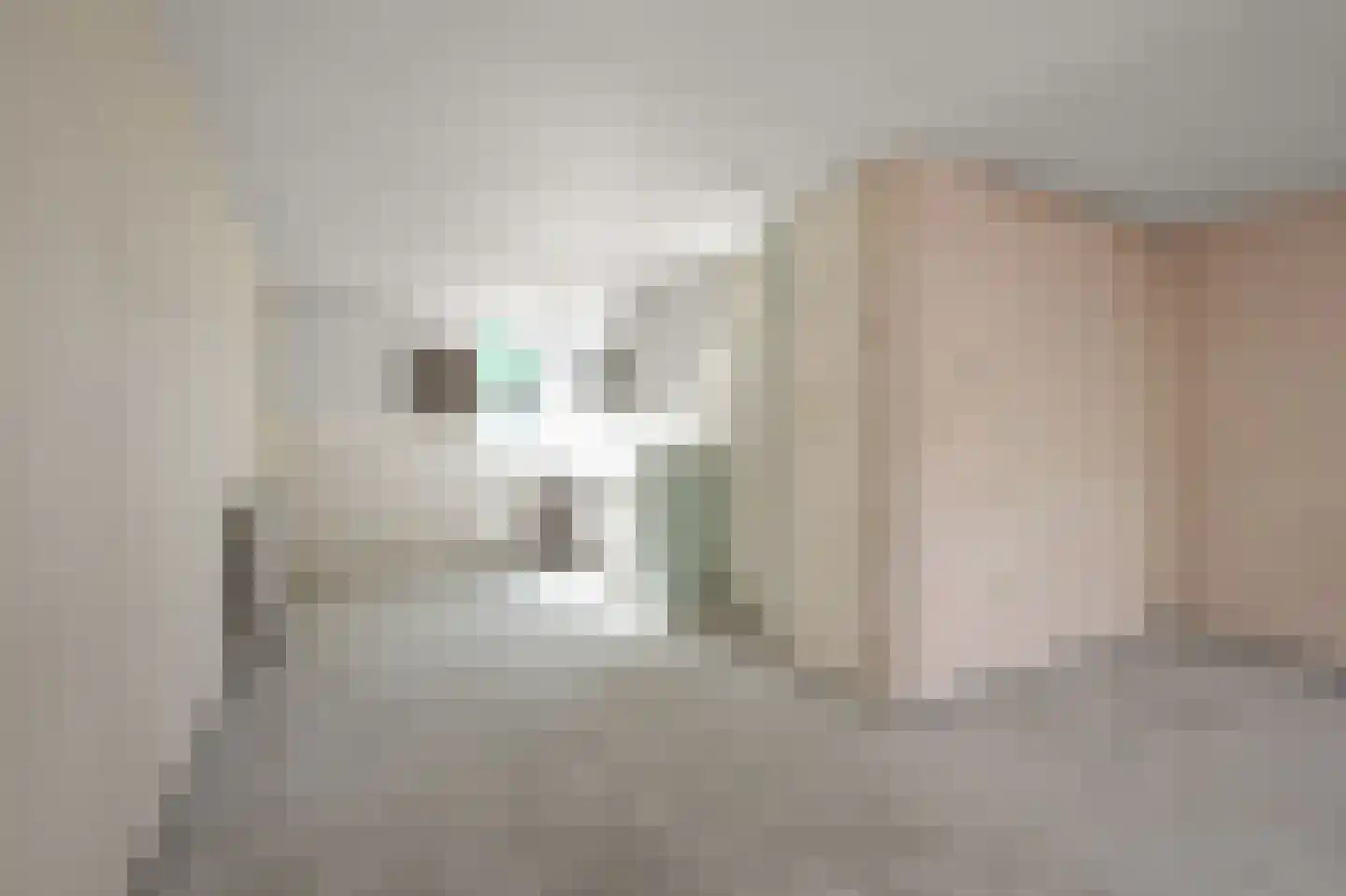 Jasykoffstraat 33 Zaandam thumbnail 5