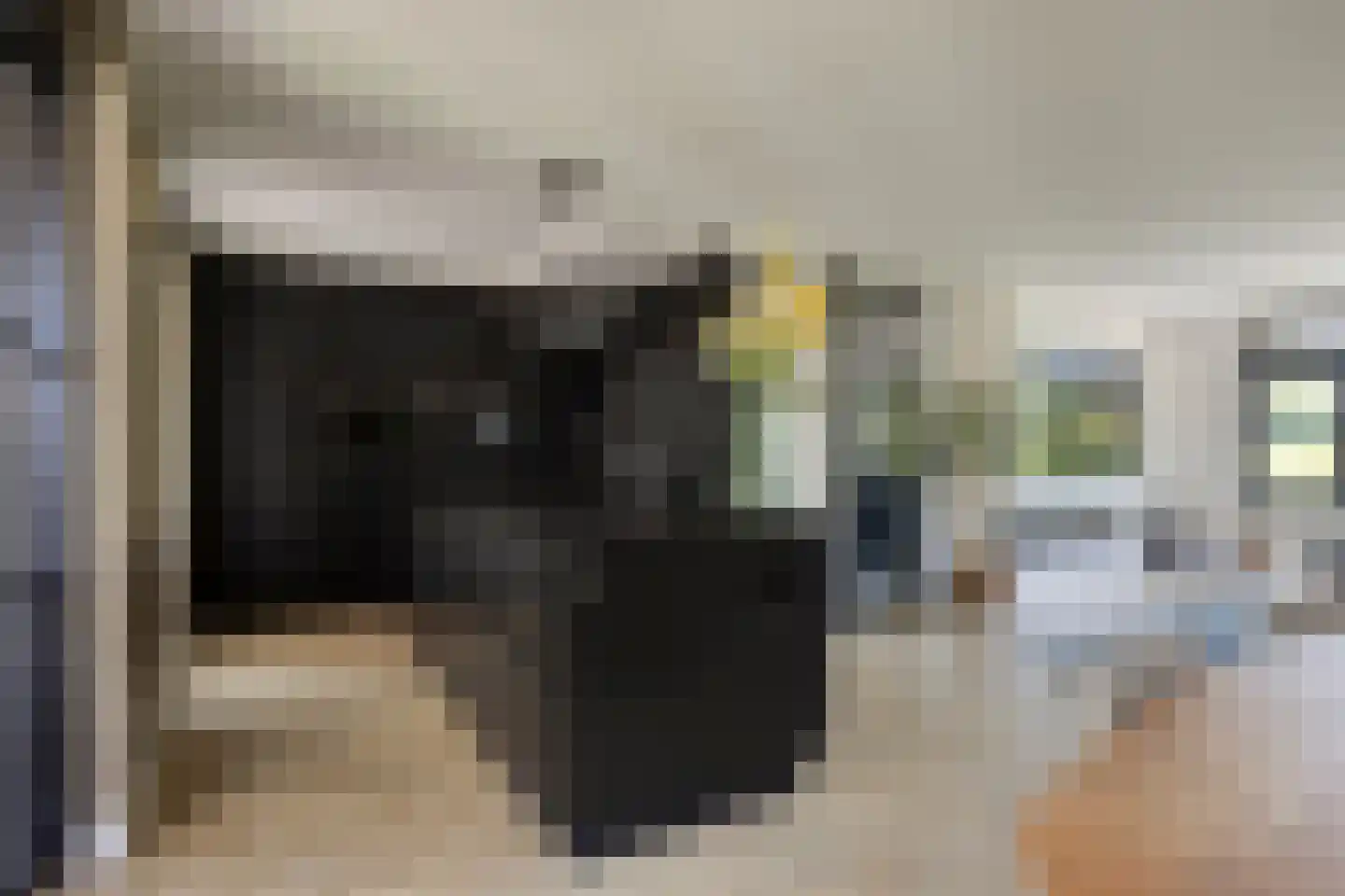 Java 38 Purmerend thumbnail 11