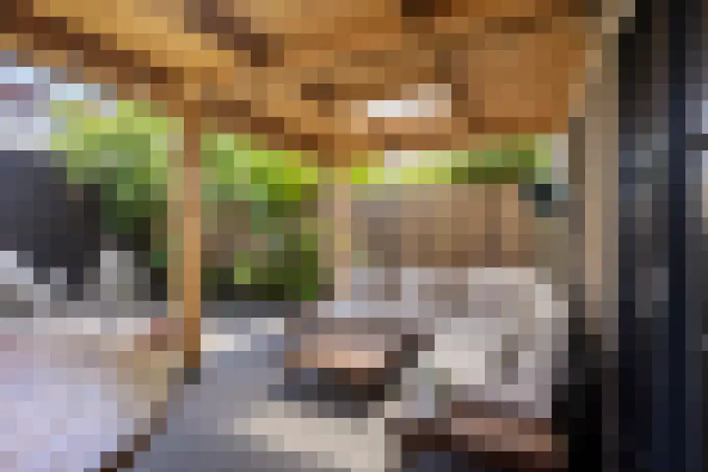 Java 38 Purmerend thumbnail 33