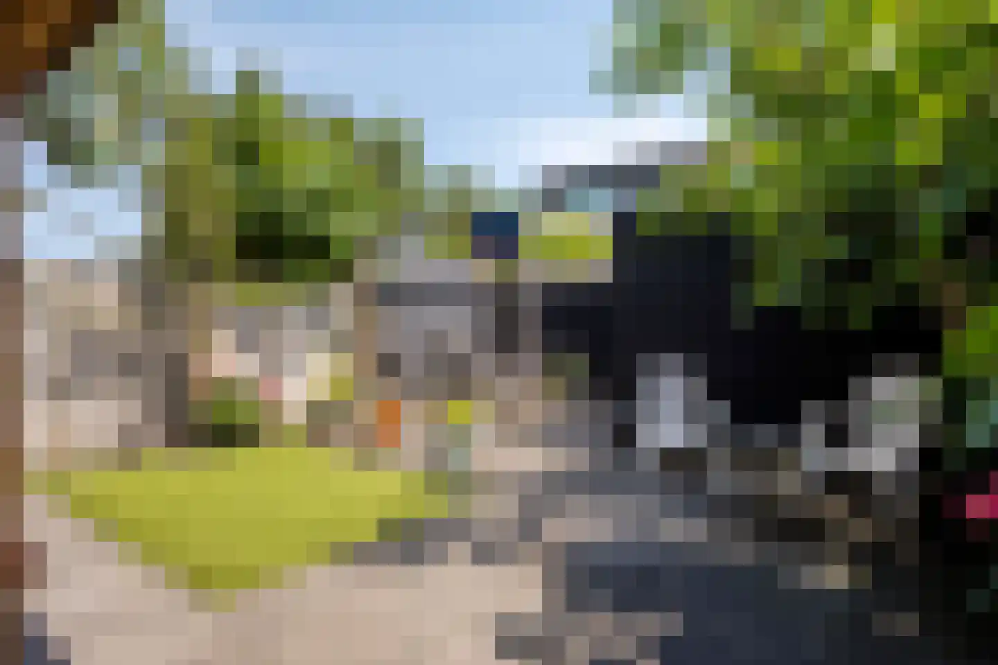 Java 38 Purmerend thumbnail 35