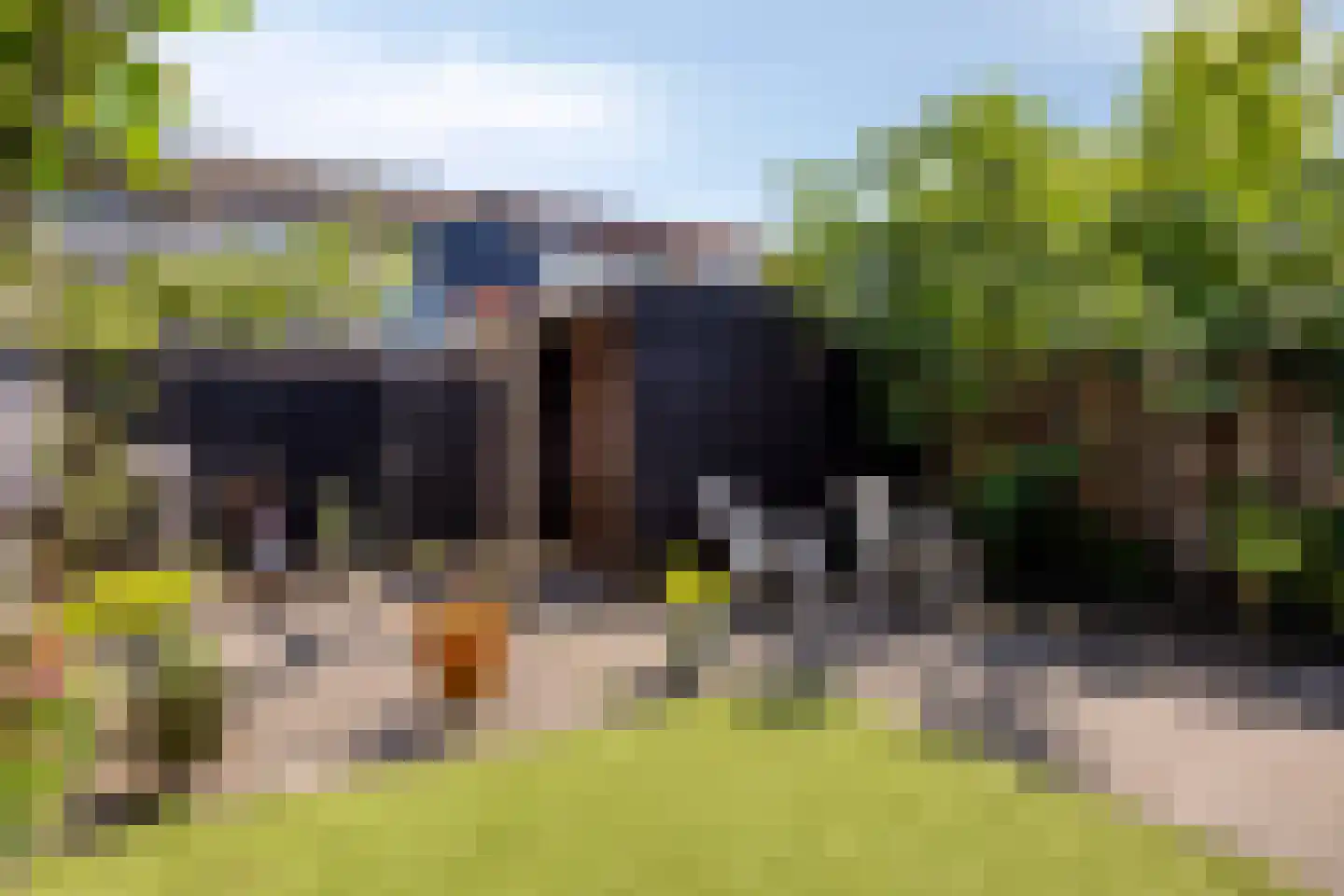 Java 38 Purmerend thumbnail 36