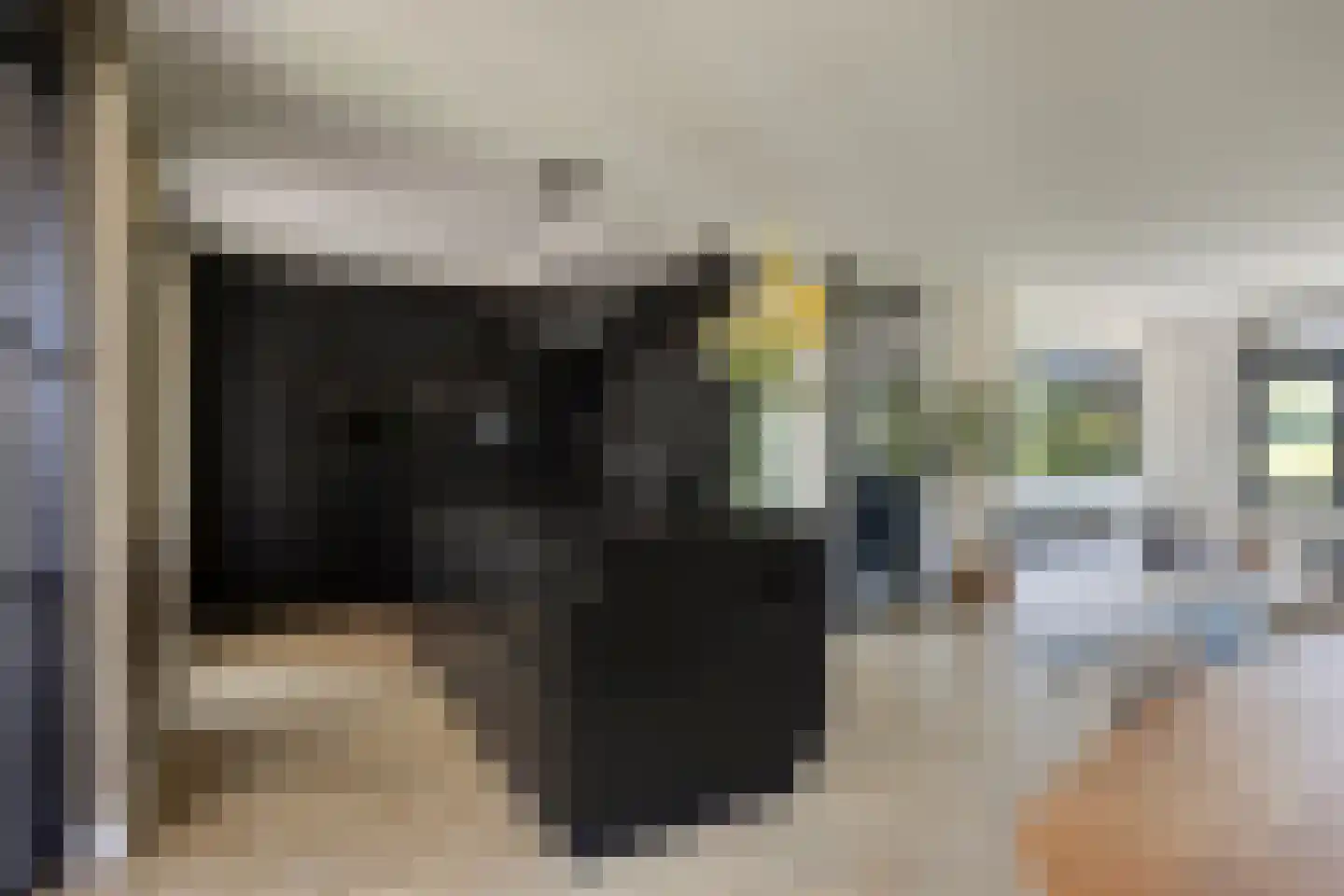 Java 38 Purmerend thumbnail 4