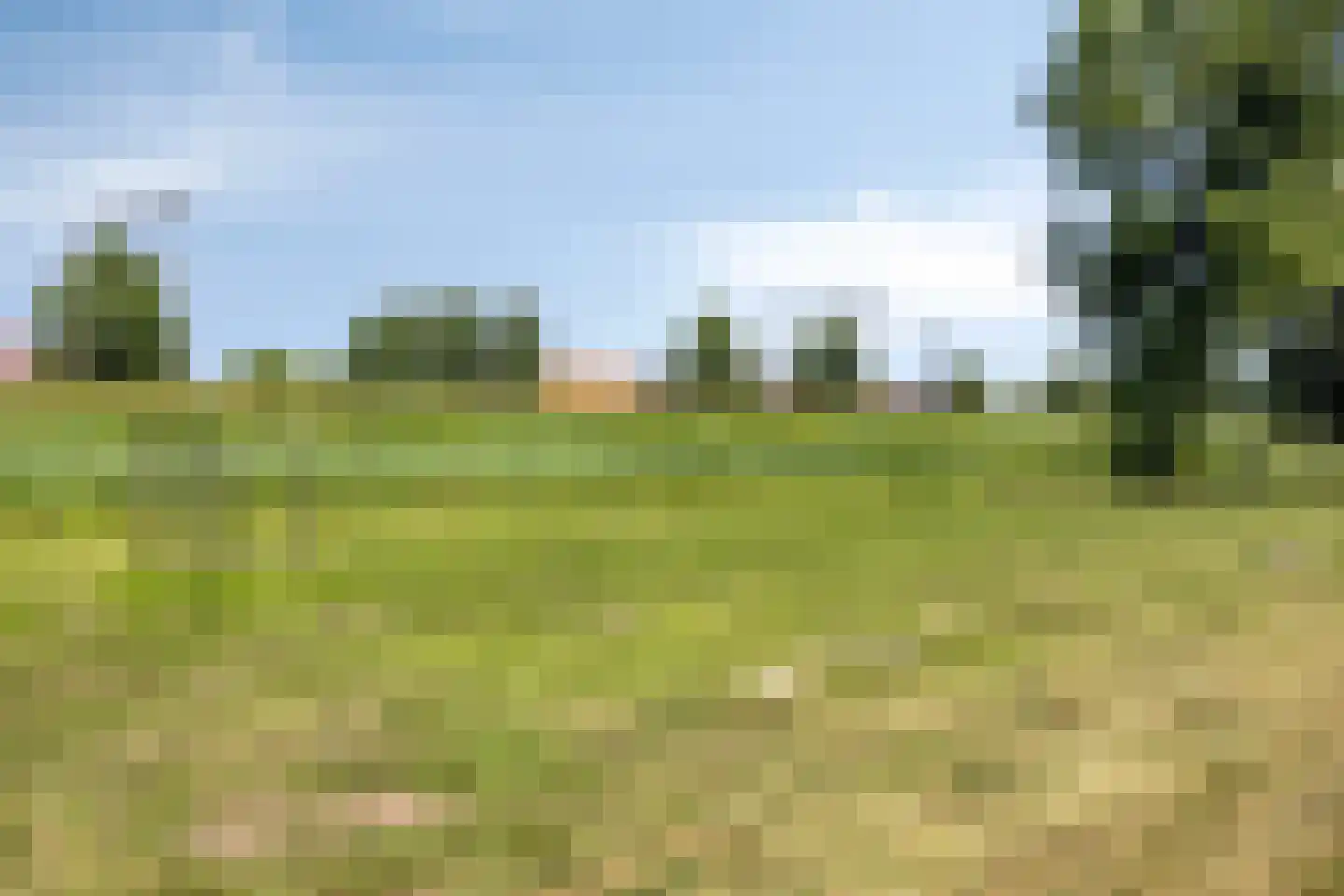 Java 38 Purmerend thumbnail 41