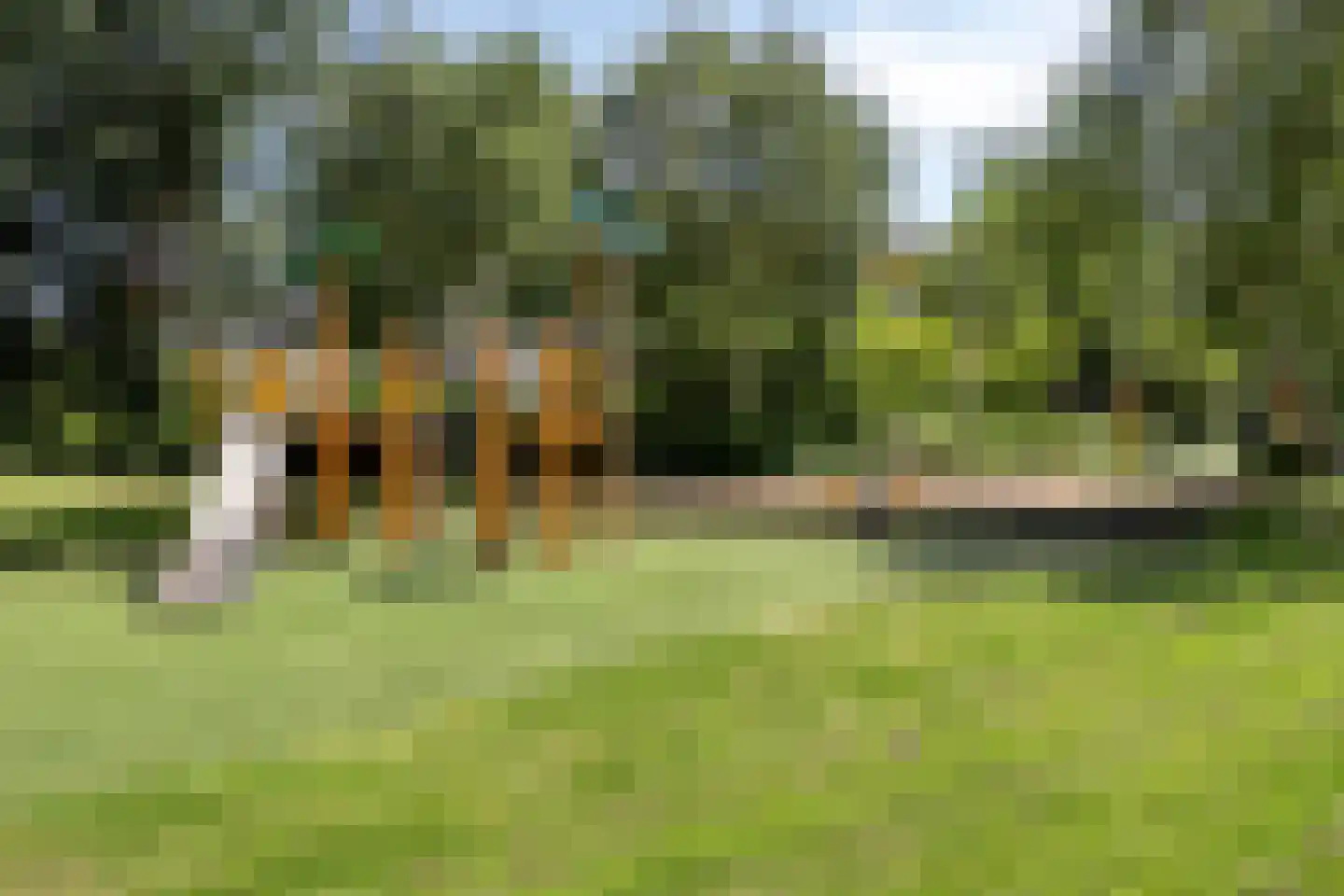 Java 38 Purmerend thumbnail 42