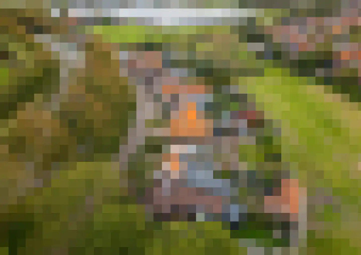 Javadijk 30 Sint-Annaland thumbnail 13