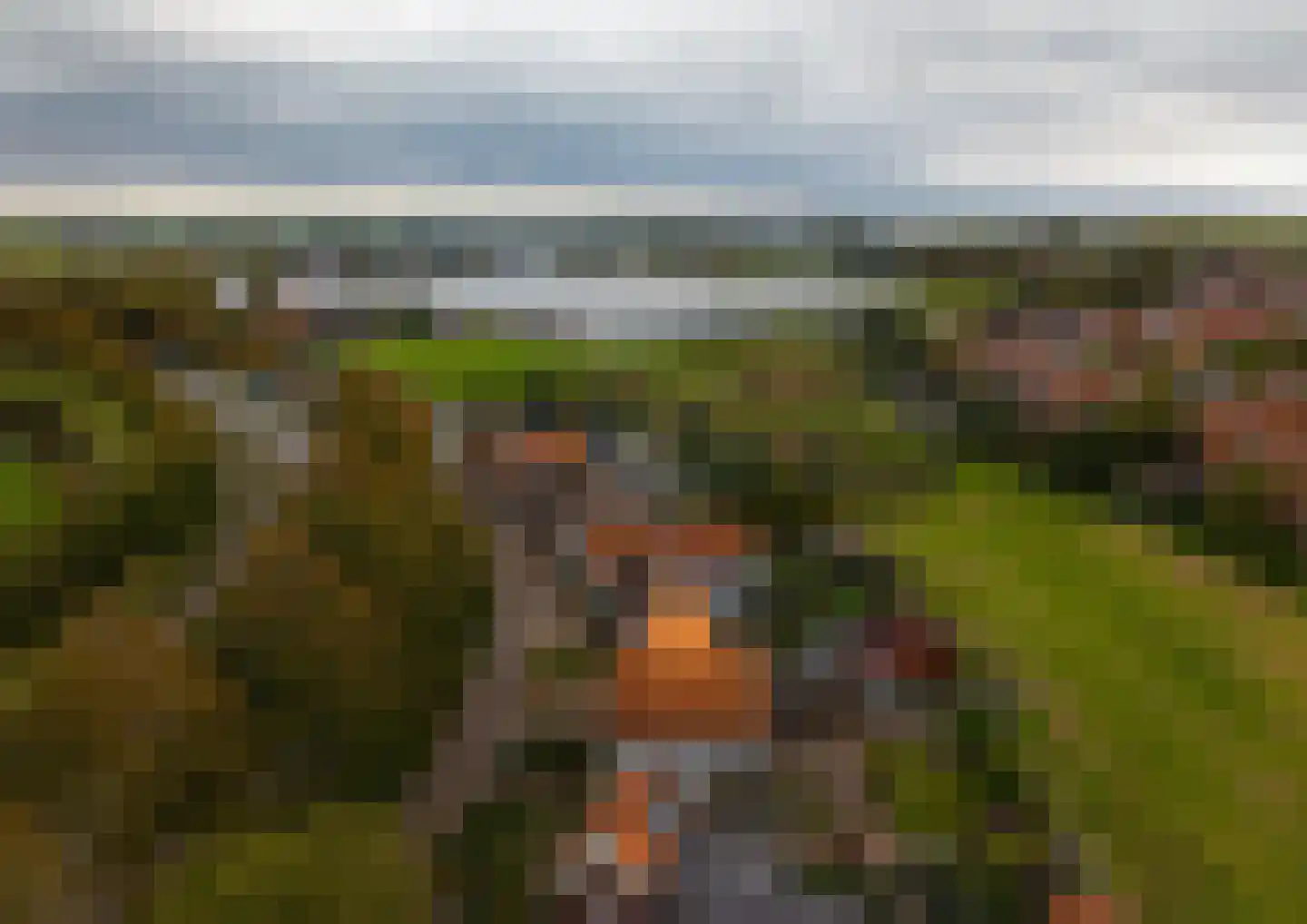 Javadijk 30 Sint-Annaland thumbnail 14