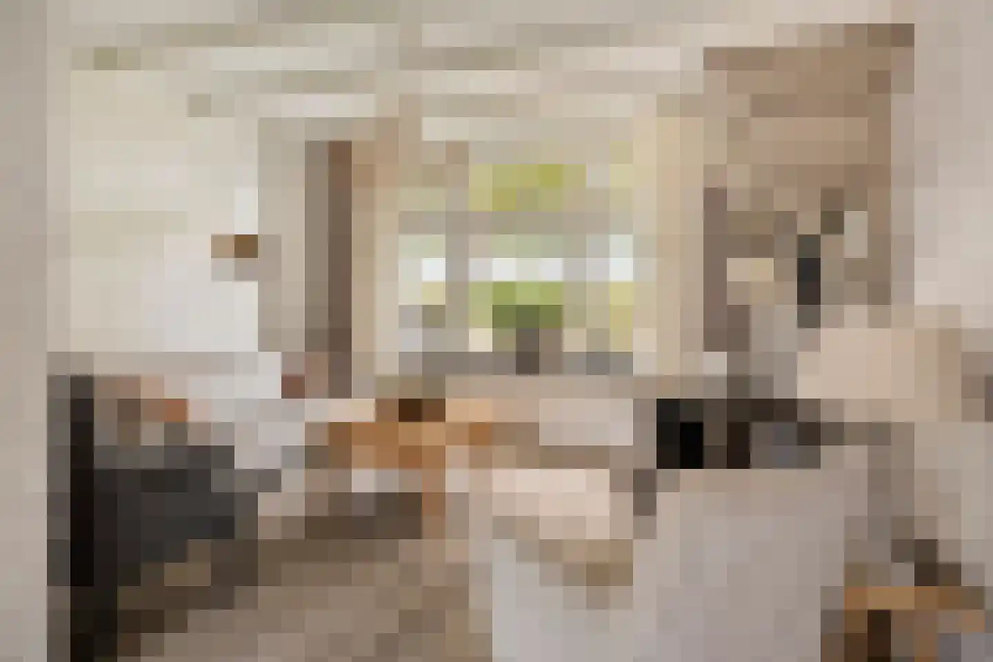 Javadijk 30 Sint-Annaland thumbnail 17