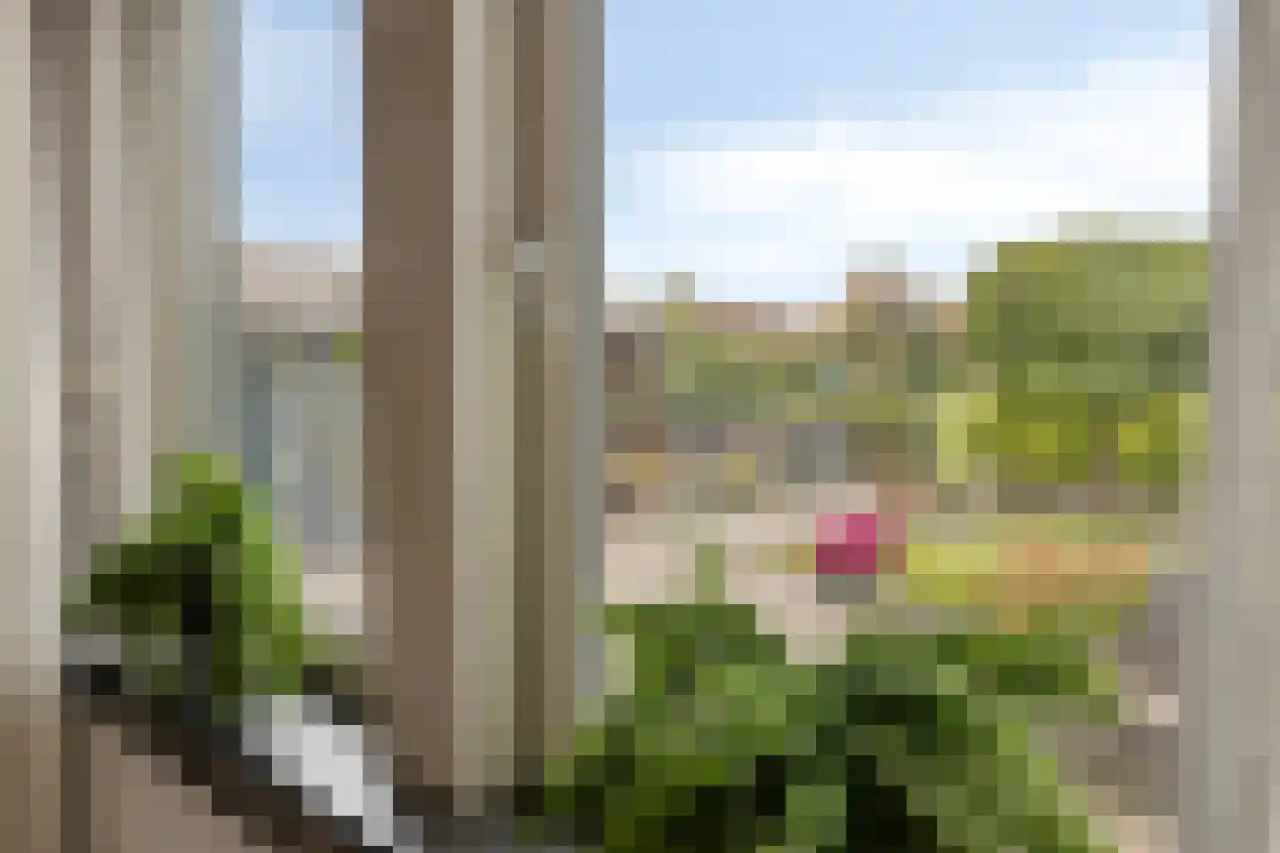 Javadijk 30 Sint-Annaland thumbnail 23
