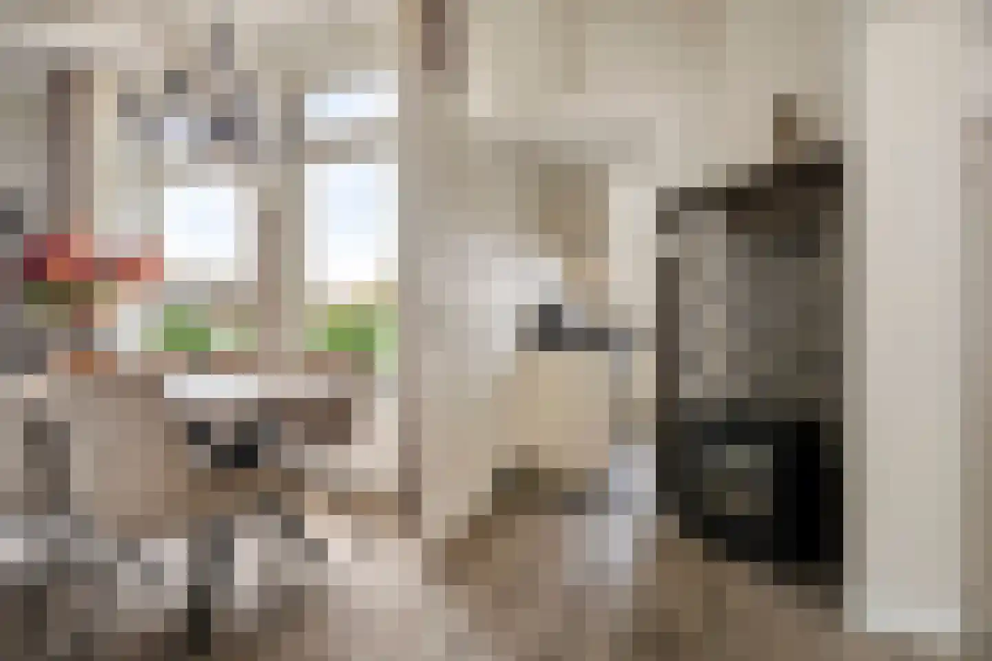 Javadijk 30 Sint-Annaland thumbnail 27