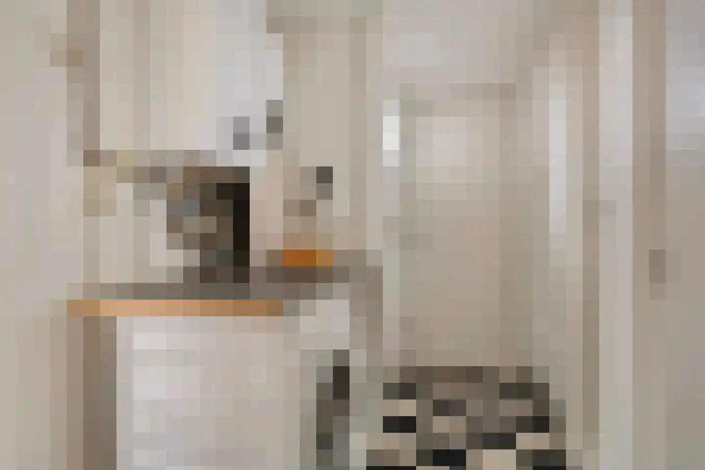Javadijk 30 Sint-Annaland thumbnail 32