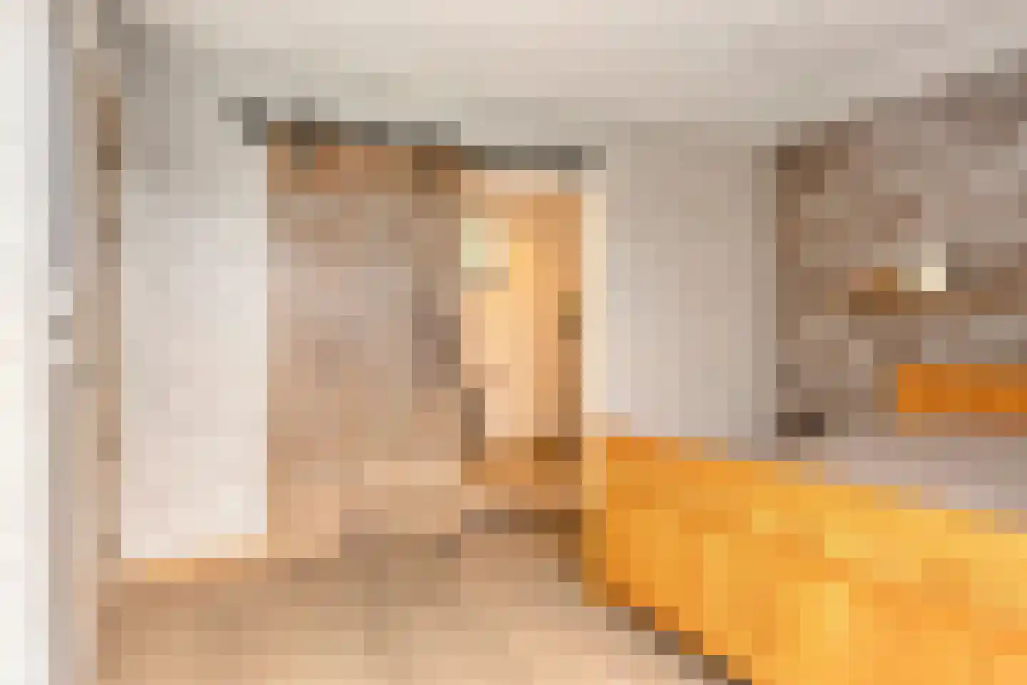 Javadijk 30 Sint-Annaland thumbnail 40