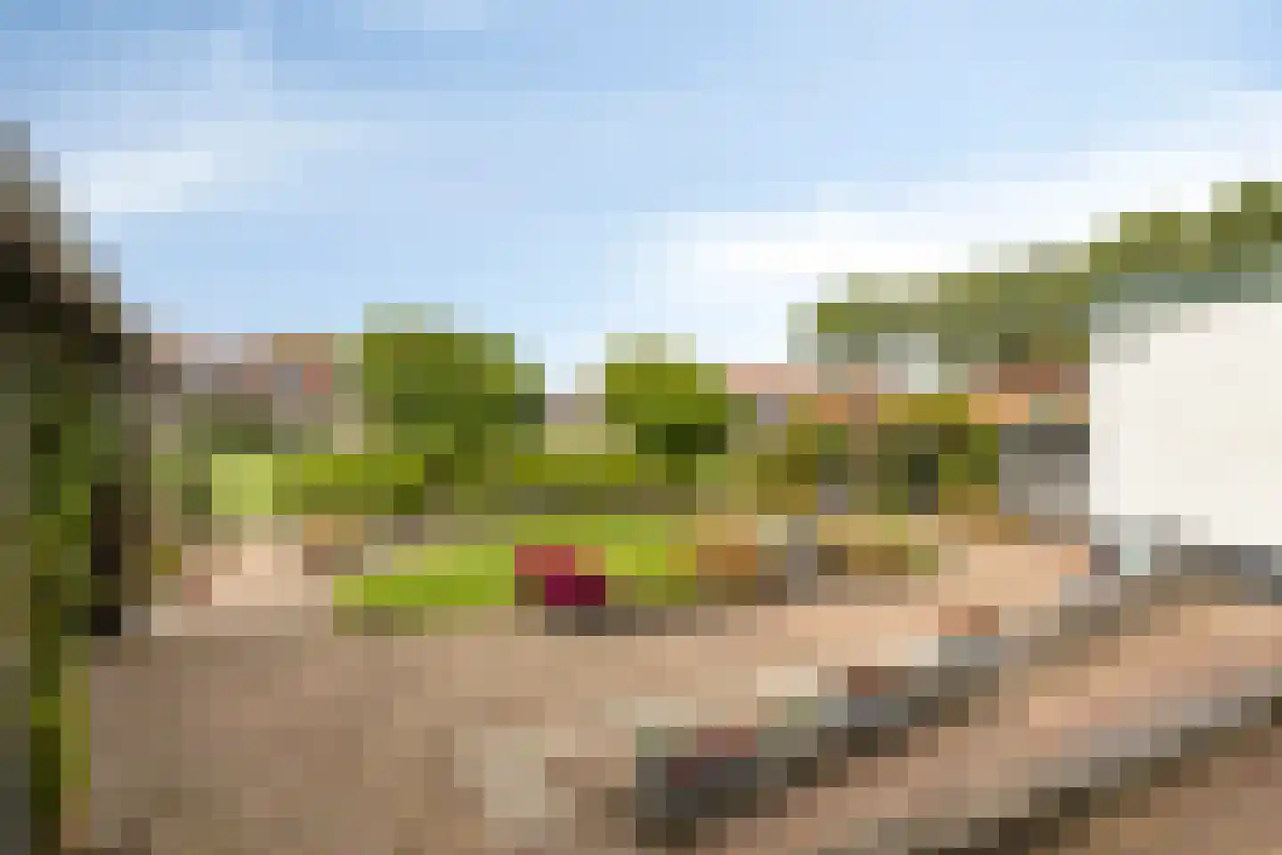 Javadijk 30 Sint-Annaland thumbnail 62