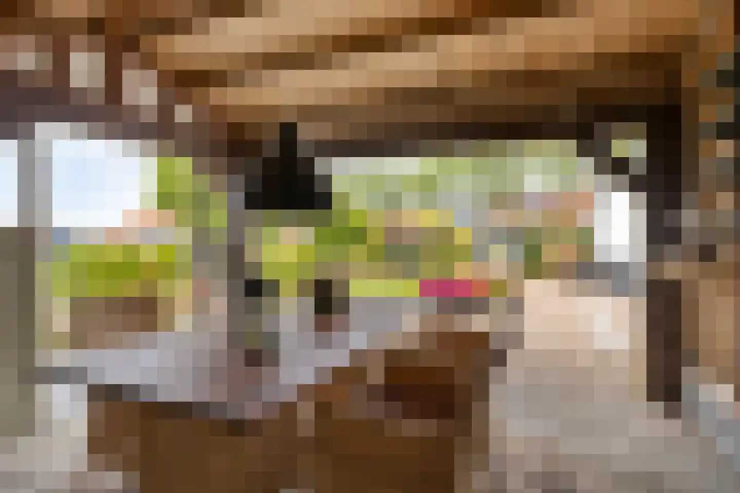 Javadijk 30 Sint-Annaland thumbnail 64