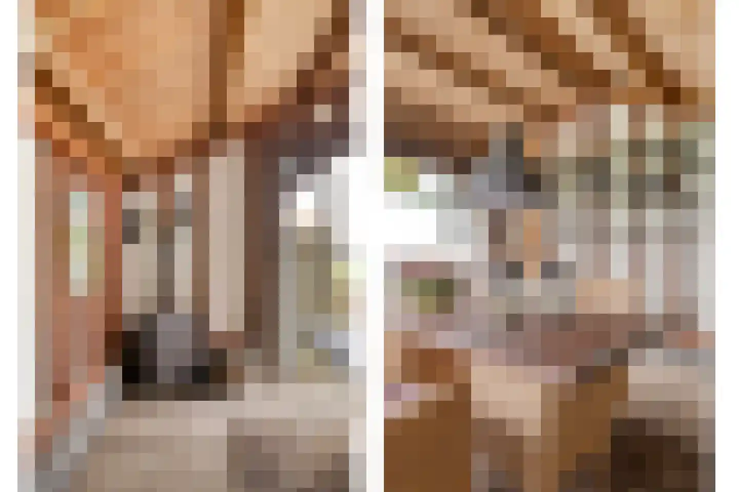 Javadijk 30 Sint-Annaland thumbnail 65