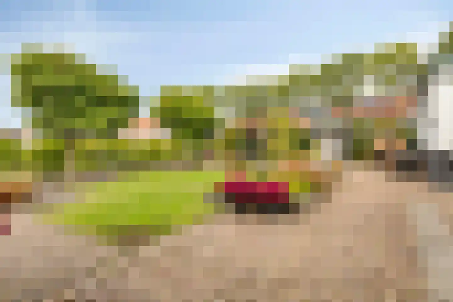 Javadijk 30 Sint-Annaland thumbnail 67