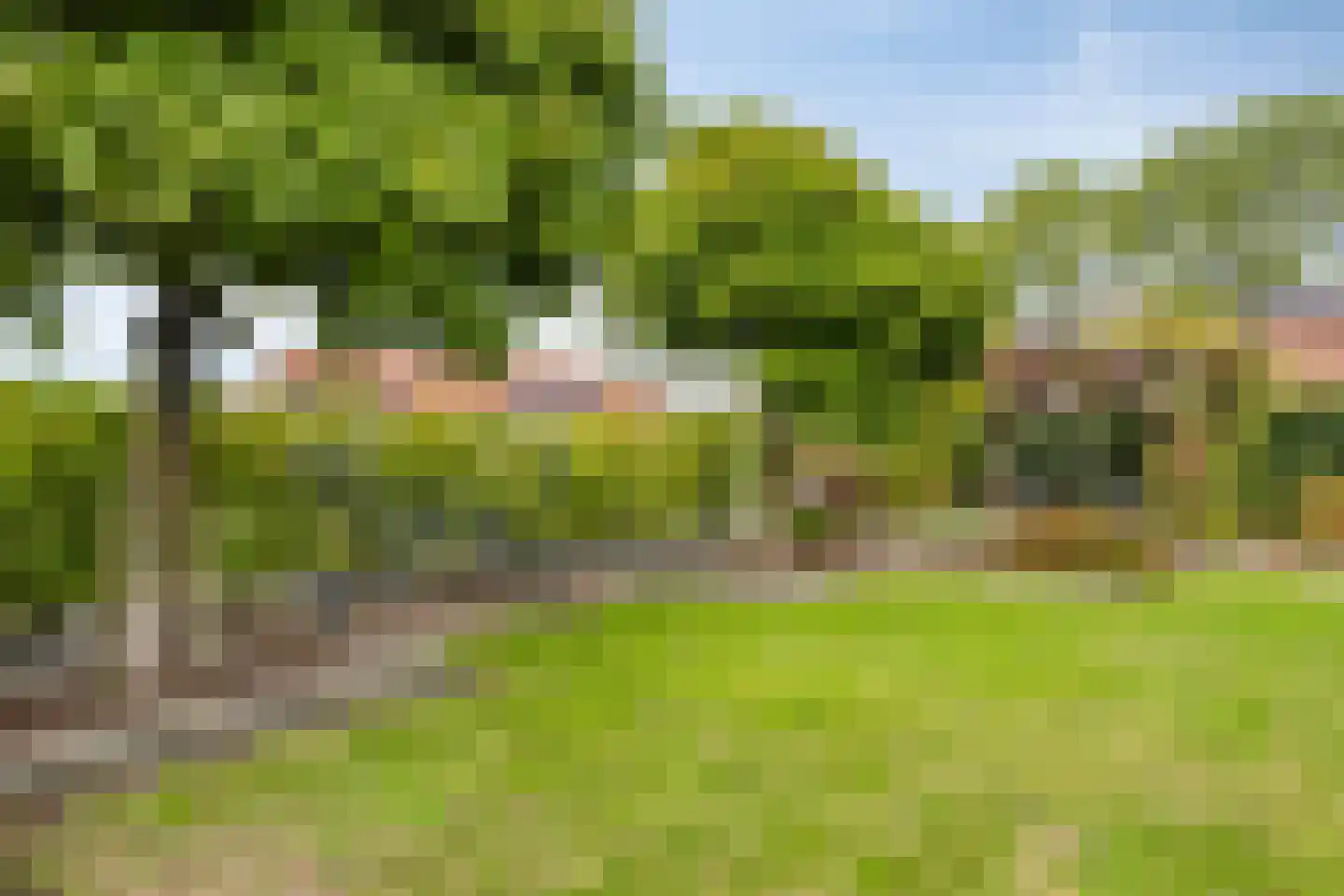 Javadijk 30 Sint-Annaland thumbnail 68