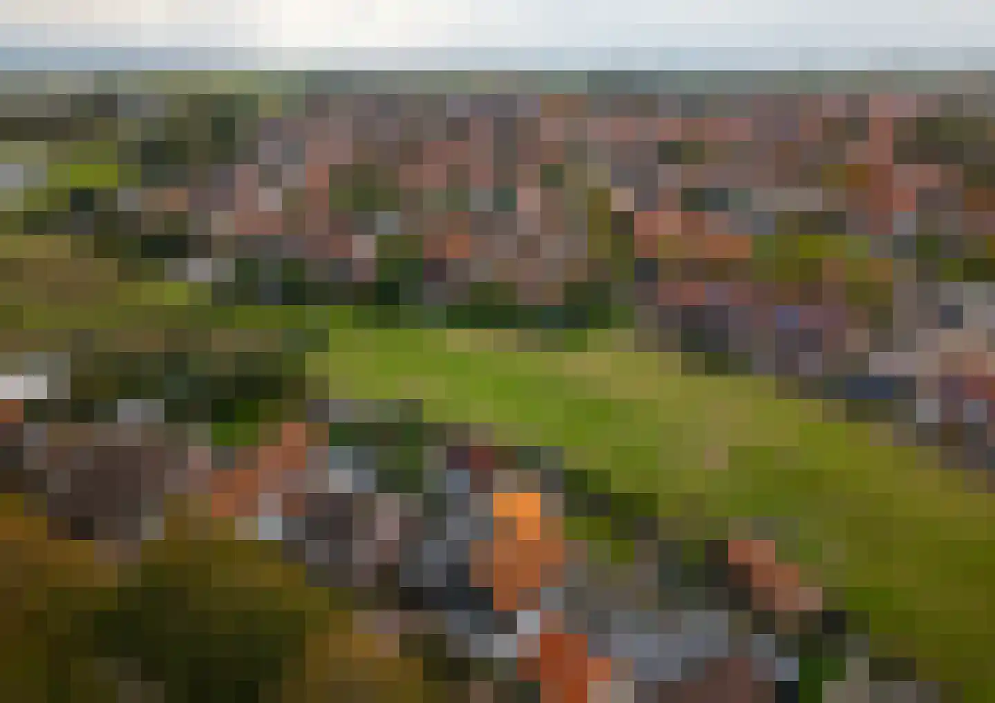 Javadijk 30 Sint-Annaland thumbnail 7