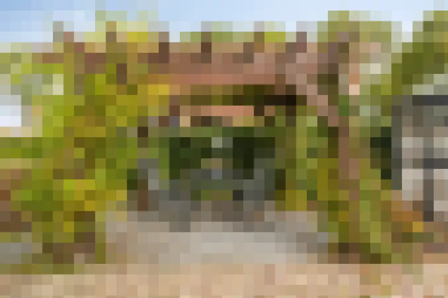 Javadijk 30 Sint-Annaland thumbnail 71