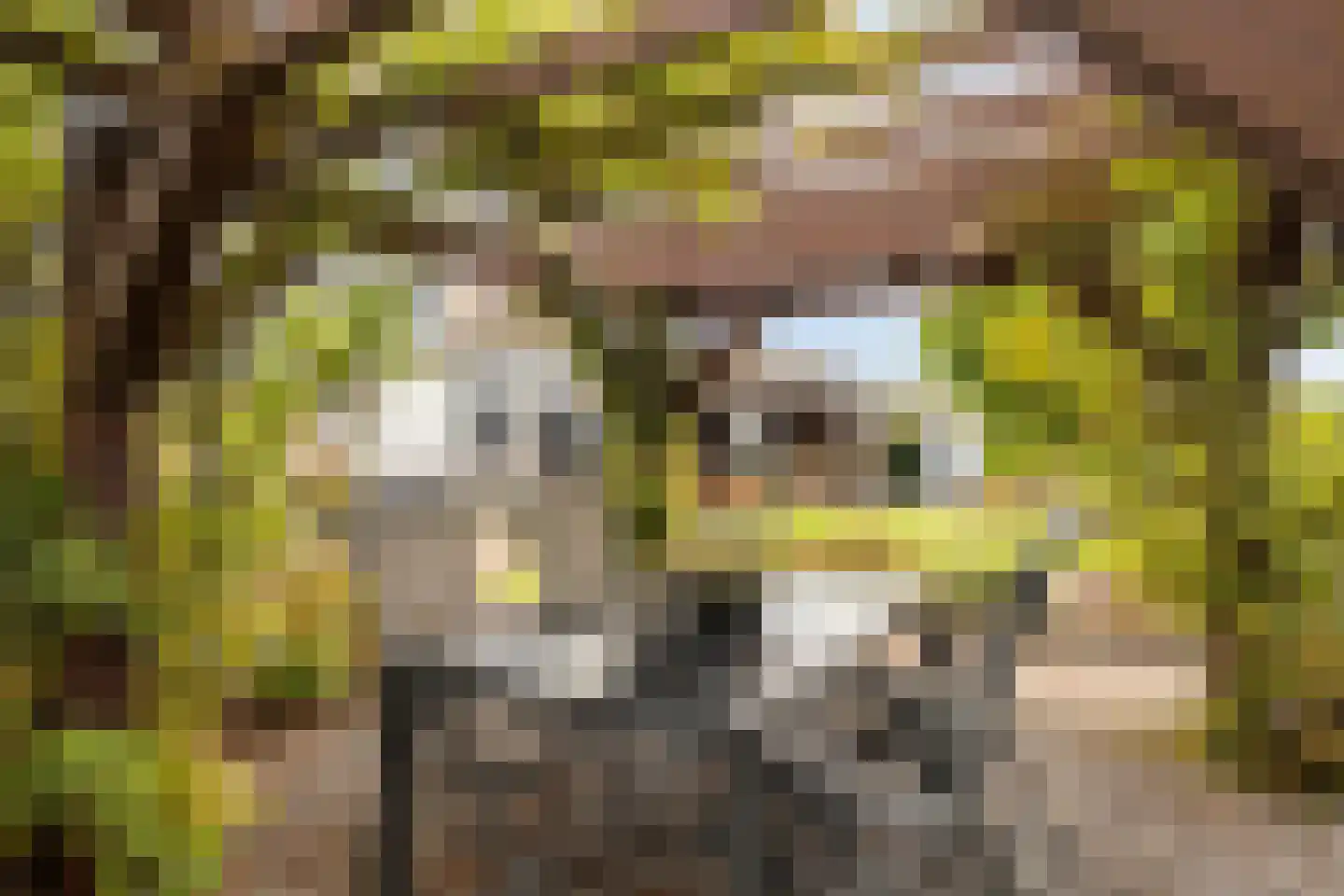Javadijk 30 Sint-Annaland thumbnail 72