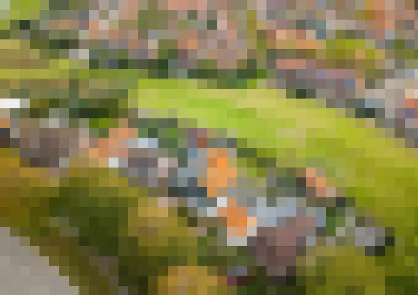 Javadijk 30 Sint-Annaland thumbnail 8