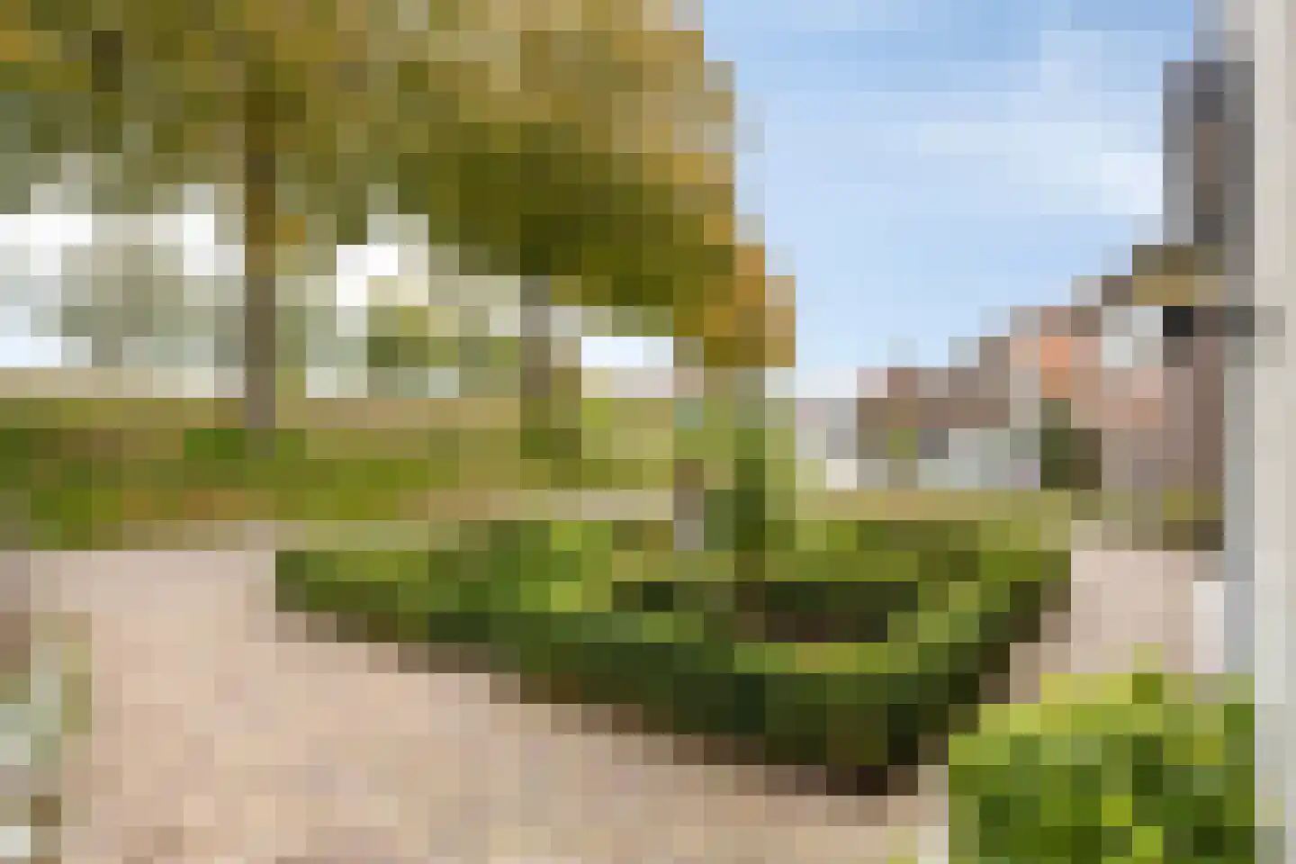 Javadijk 30 Sint-Annaland thumbnail 82