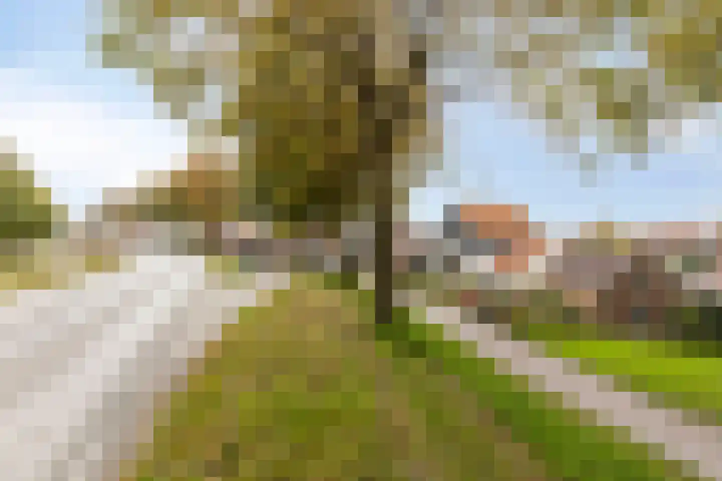 Javadijk 30 Sint-Annaland thumbnail 84