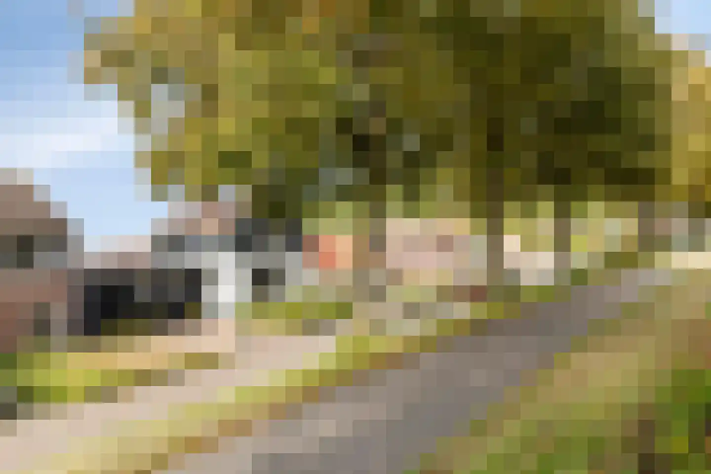 Javadijk 30 Sint-Annaland thumbnail 85