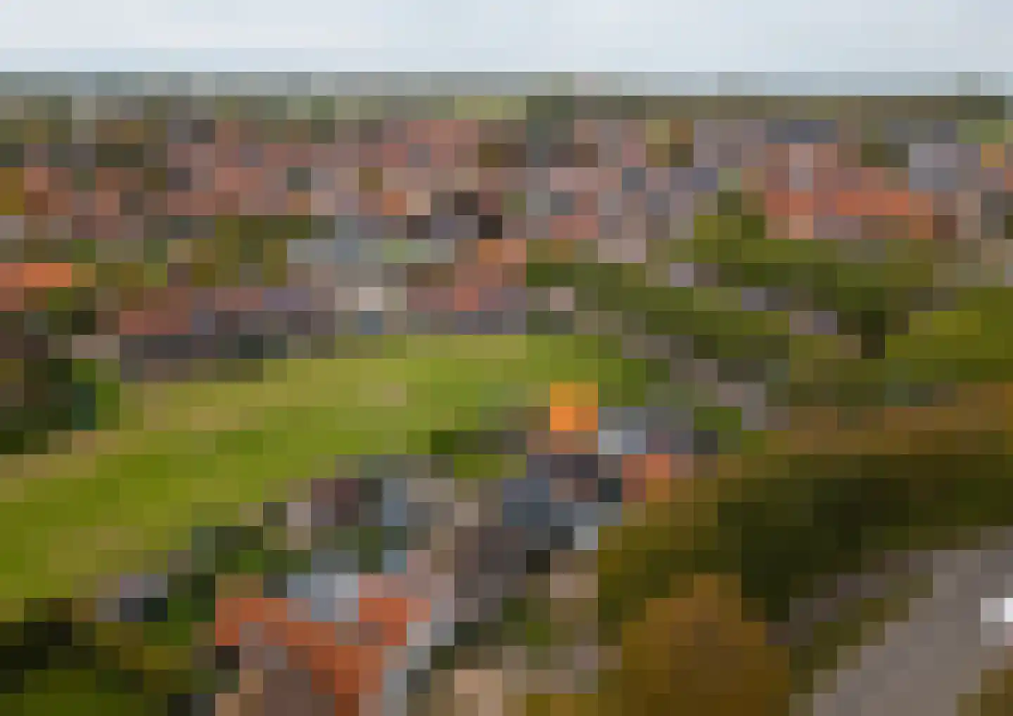 Javadijk 30 Sint-Annaland thumbnail 91