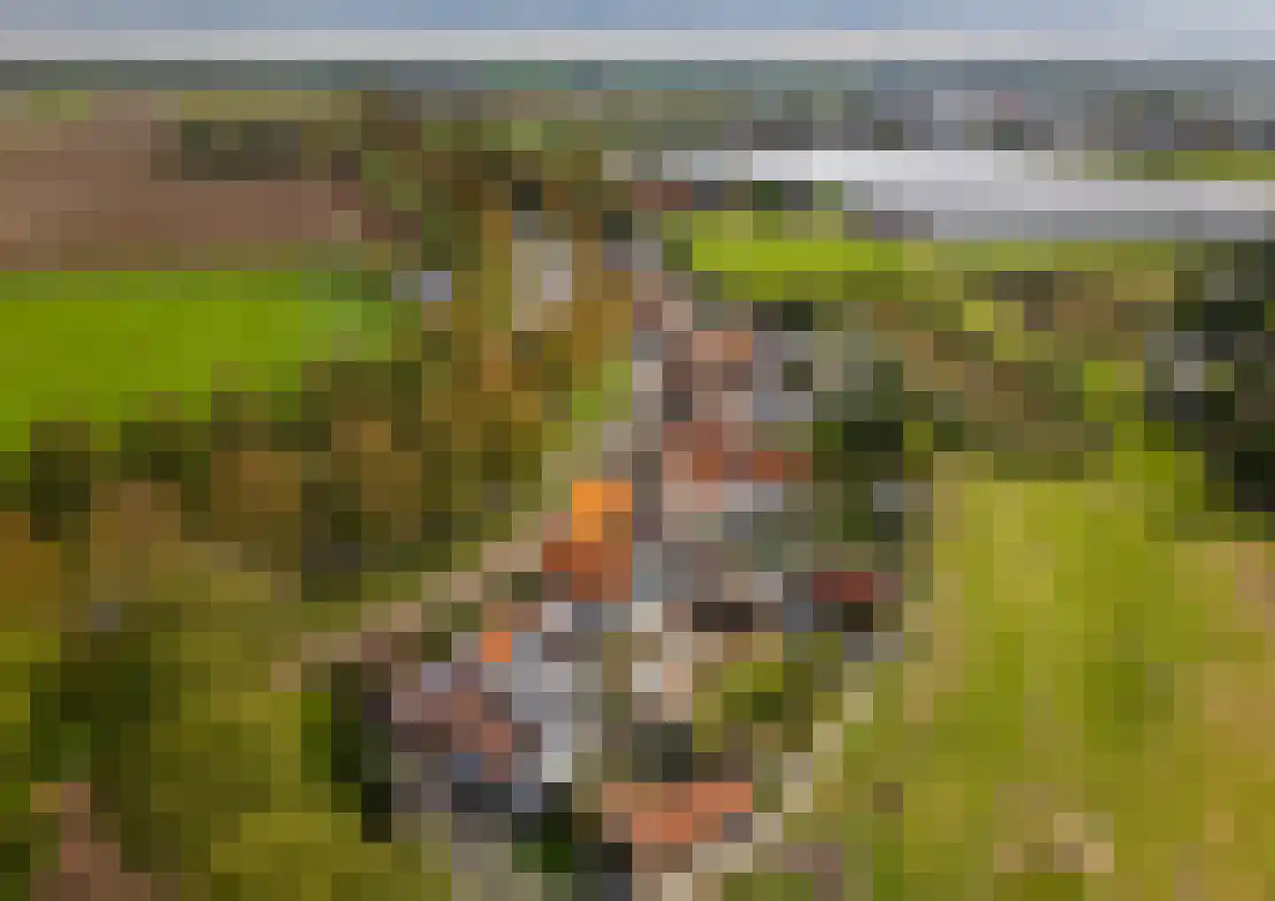 Javadijk 30 Sint-Annaland thumbnail 92