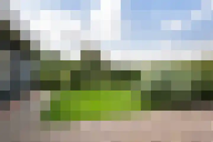 Javadijk 40 Sint-Annaland thumbnail 37