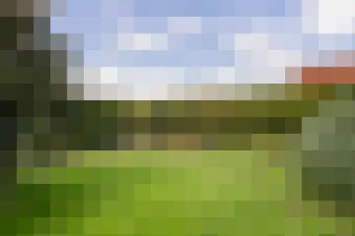 Javadijk 40 Sint-Annaland thumbnail 39