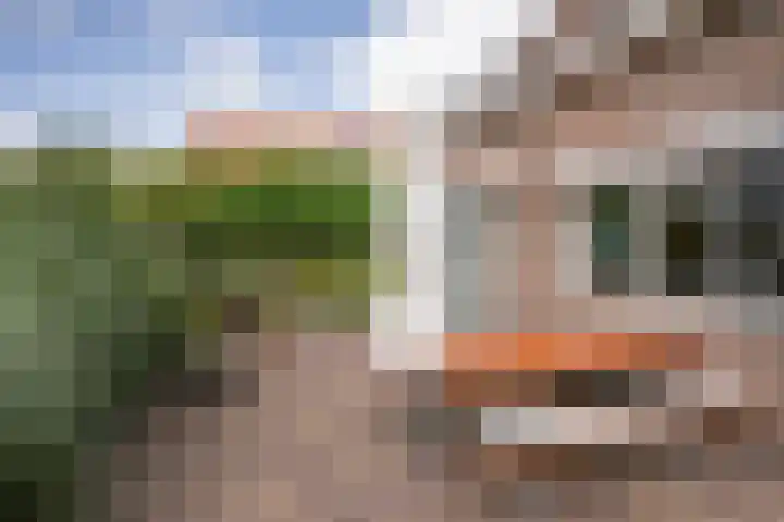 Javadijk 40 Sint-Annaland thumbnail 40