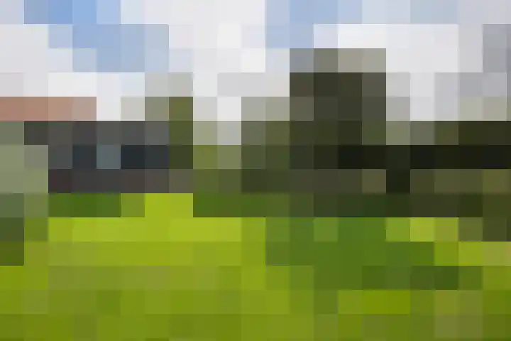 Javadijk 40 Sint-Annaland thumbnail 42