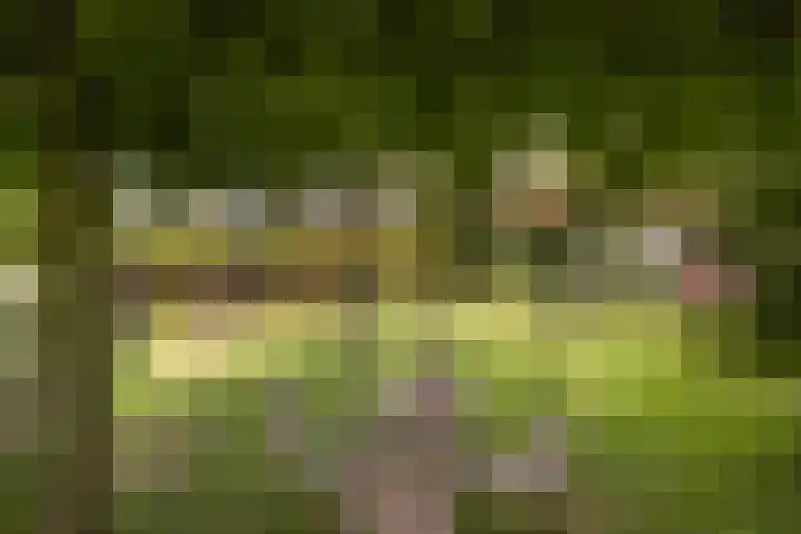 Javadijk 40 Sint-Annaland thumbnail 44