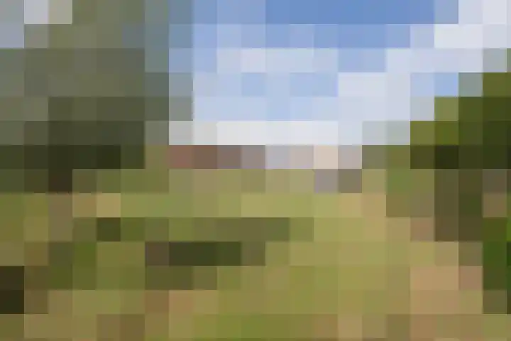 Javadijk 40 Sint-Annaland thumbnail 48