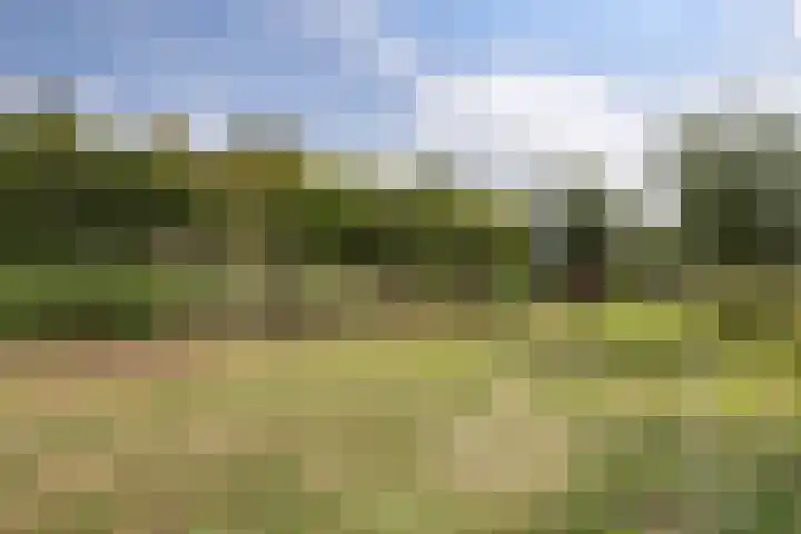 Javadijk 40 Sint-Annaland thumbnail 49